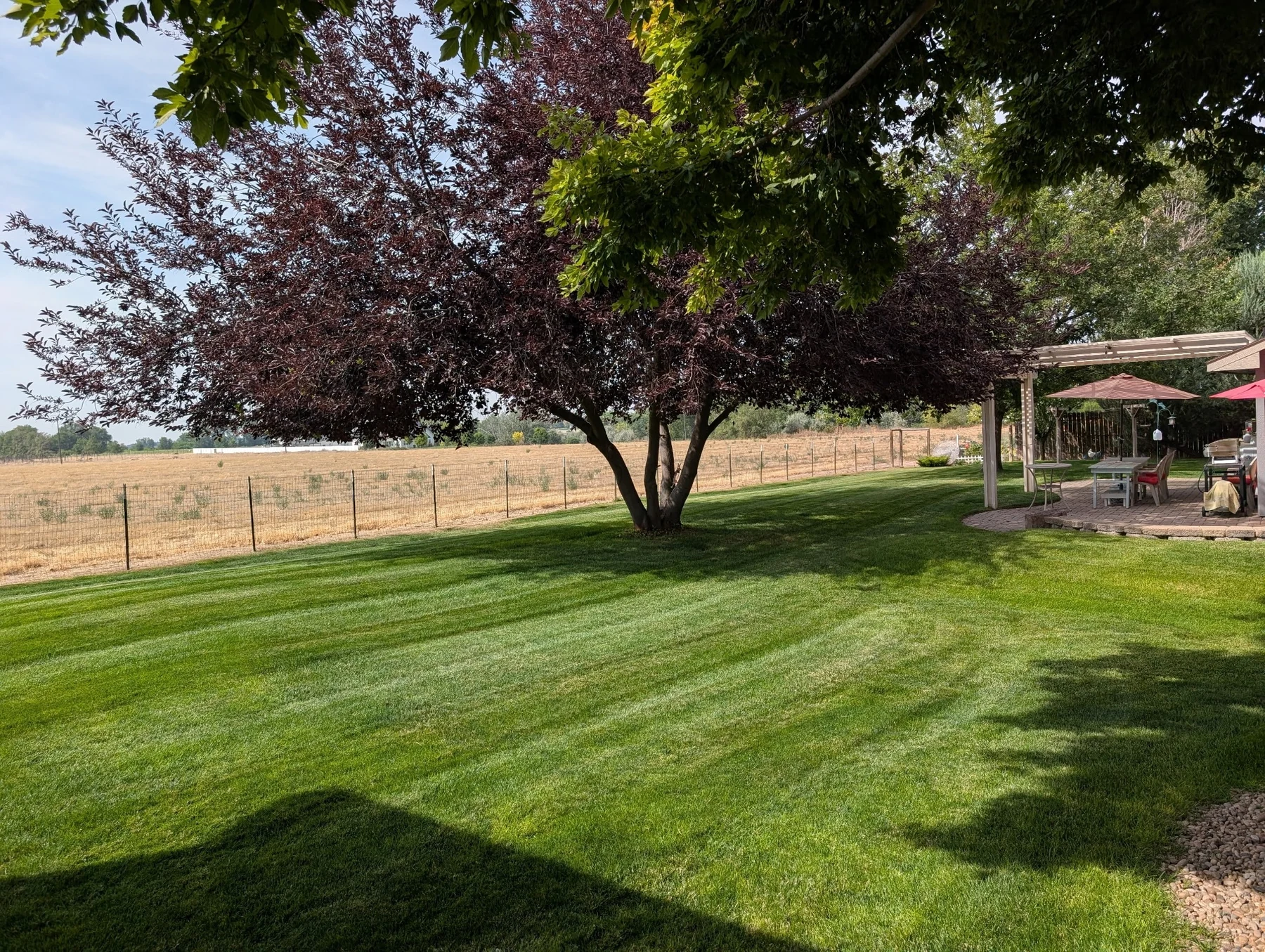 A wide, freshly maintained green lawn shaded by mature trees at an Idaho property